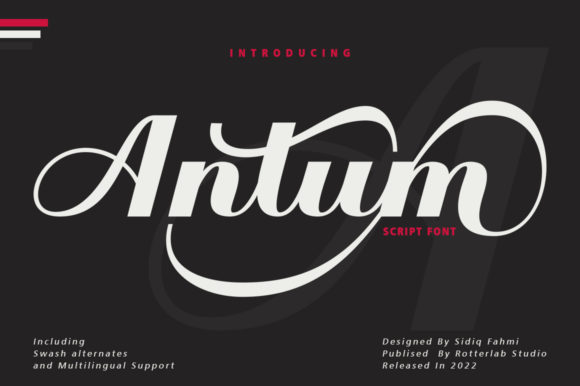Antum Font for Business Branding and Design