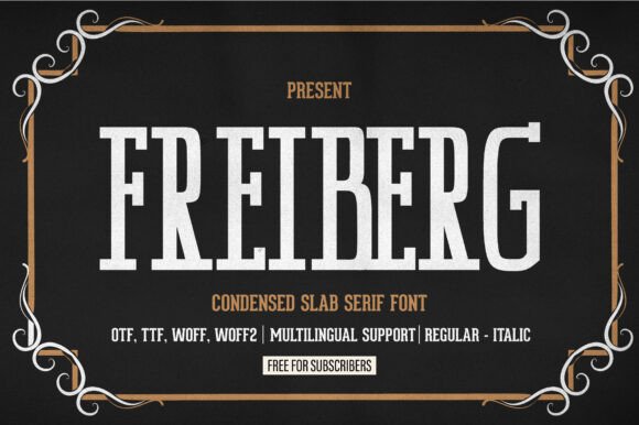 Freiberg Slab Serif Font for Modern Web Design