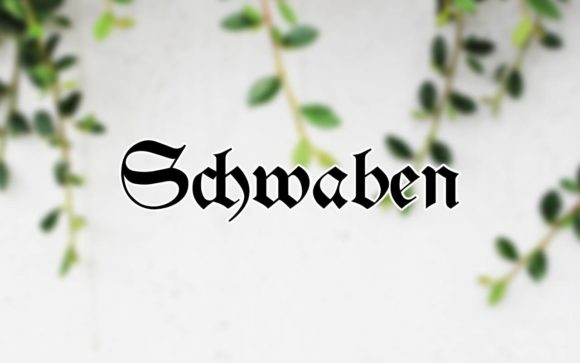 How Schwaben Font Elevated My Brand’s Visual Identity