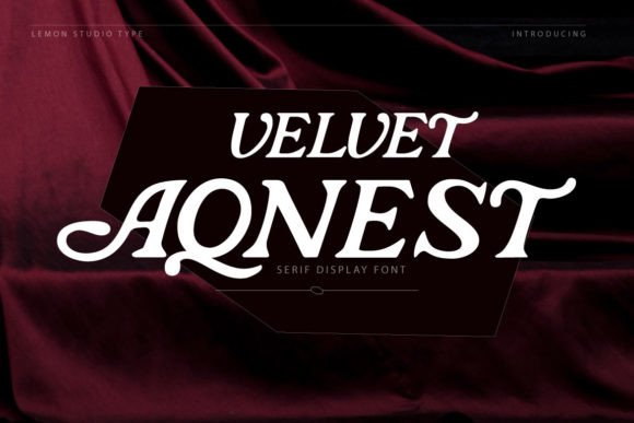 Velvet Aqnest Serif Font for Modern Web Design